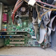 Illustration for article titled Compaq Presario 5000 5WV232em/em